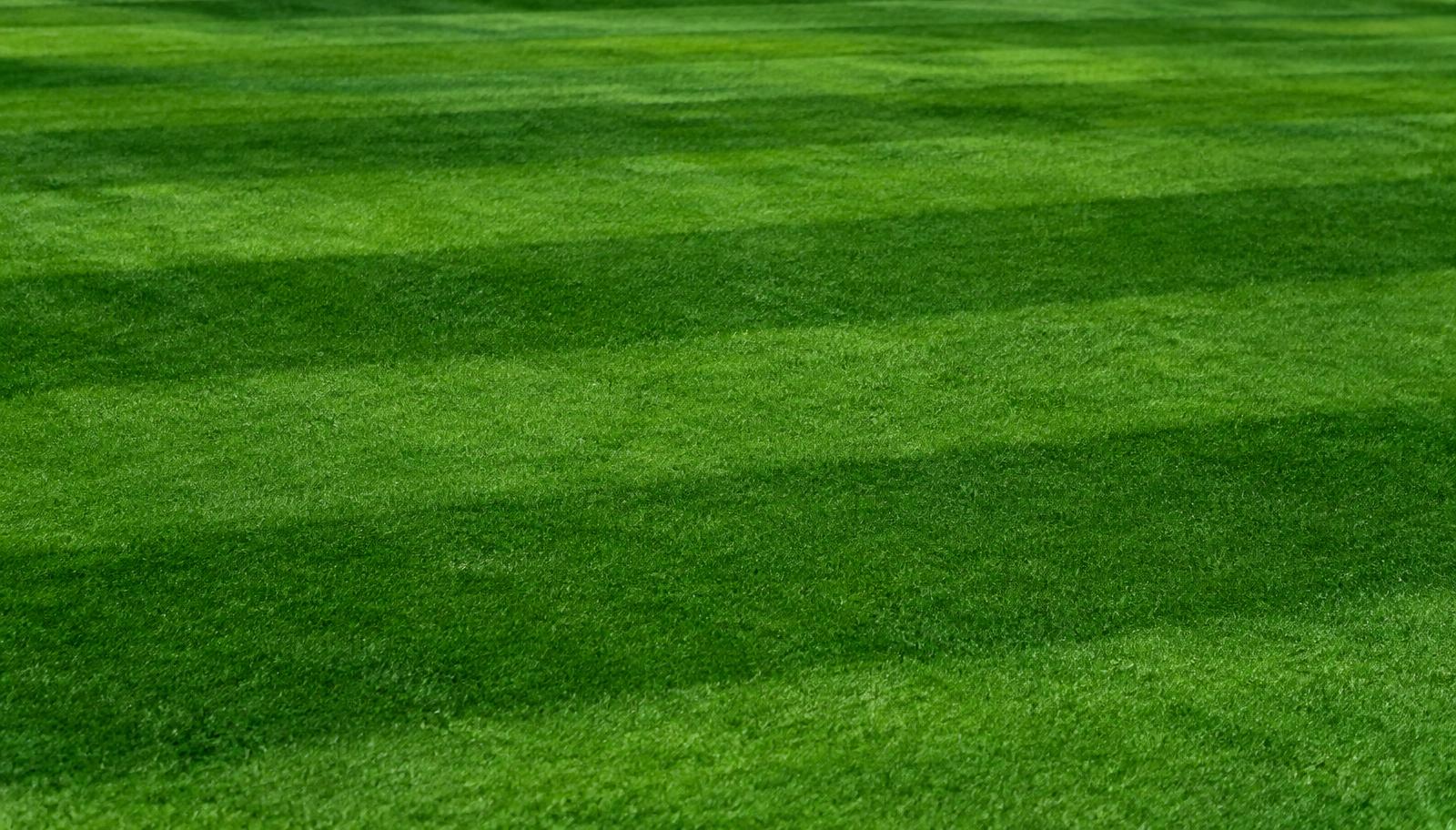 Gramado de campo de futebol
